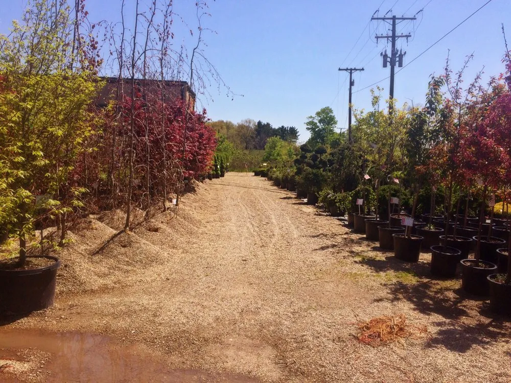 Affordable landscape installation for year-round maintenance across La Porte, IN - Small's Garden Center