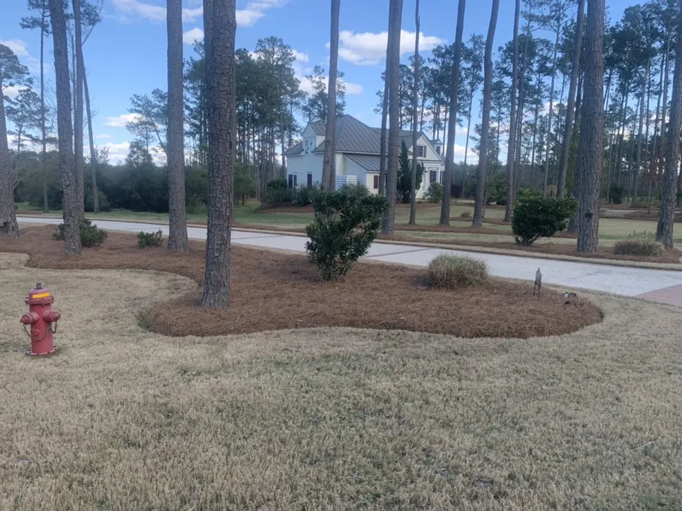 Trusted lawn care service for outdoor upgrades across New Bern, NC - Smalls mowing and landscaping