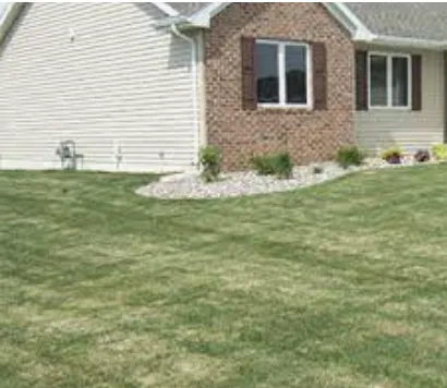 Reliable yard cleanup service in Eagan, MN - Smalls Mowing