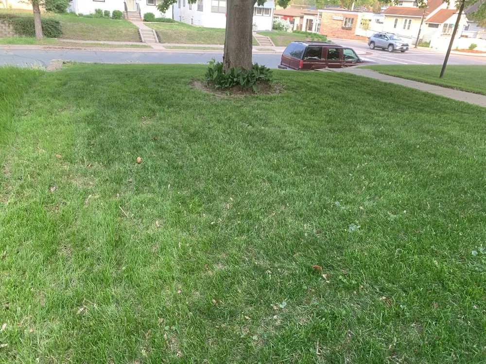 Trusted landscape design in Eagan, MN - Smalls Mowing