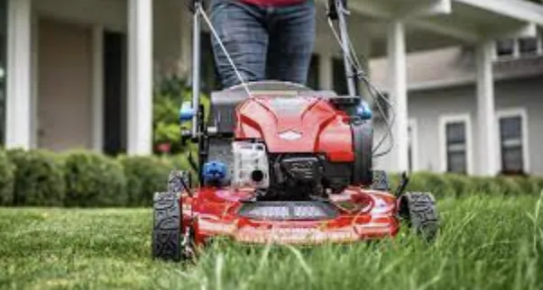 Local yard maintenance for beautiful yards in Eagan, MN by Smalls Mowing