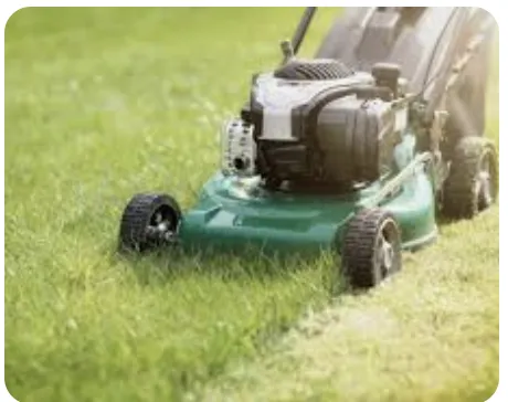 Professional yard maintenance experts serving Eagan, MN - Smalls Mowing