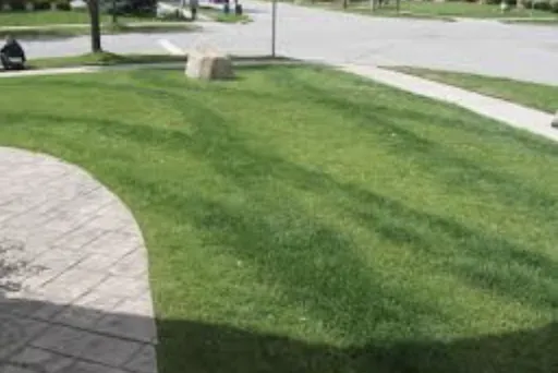 Custom landscape installation experts serving Eagan, MN - Smalls Mowing