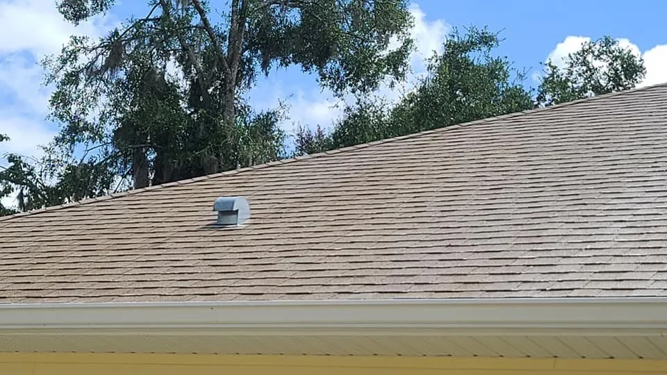 Affordable garden landscaping for year-round maintenance in High Springs, FL by Smalltown