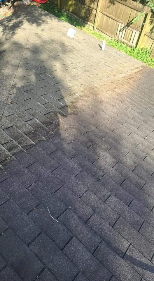 Top-rated landscaping services in High Springs, FL - Smalltown