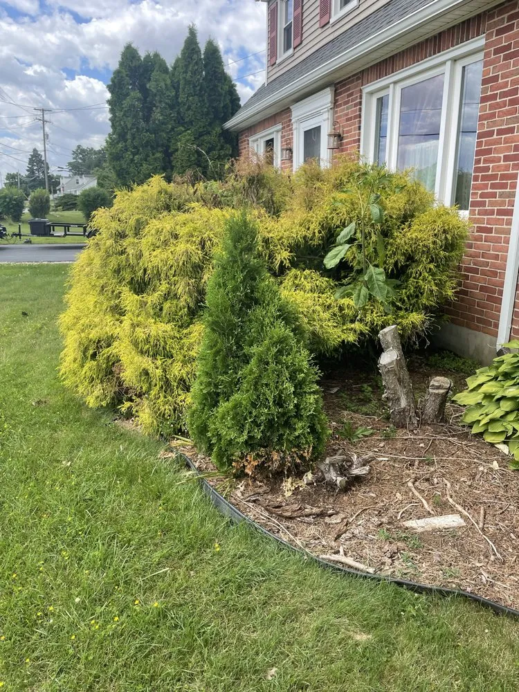 Trusted landscape design near you across Dover, PA - Smallwoods Lawn Care