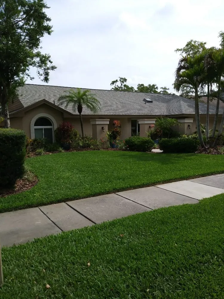 Expert residential landscaping in Palm Harbor, FL - Smart choice lawn care