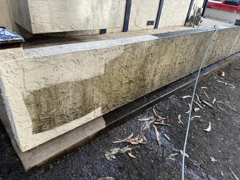 Expert yard cleanup service experts serving Watsonville, CA - Smart Construction Services