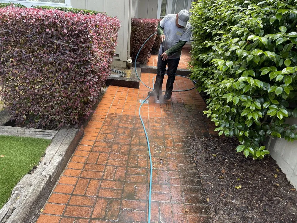 Custom lawn care service near you in Watsonville, CA by Smart Construction Services