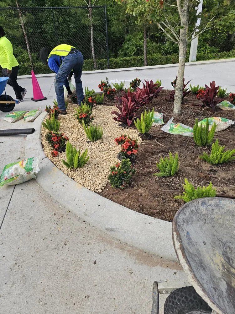 Reliable landscape design in Lockhart, FL - Smart Cut Grounds