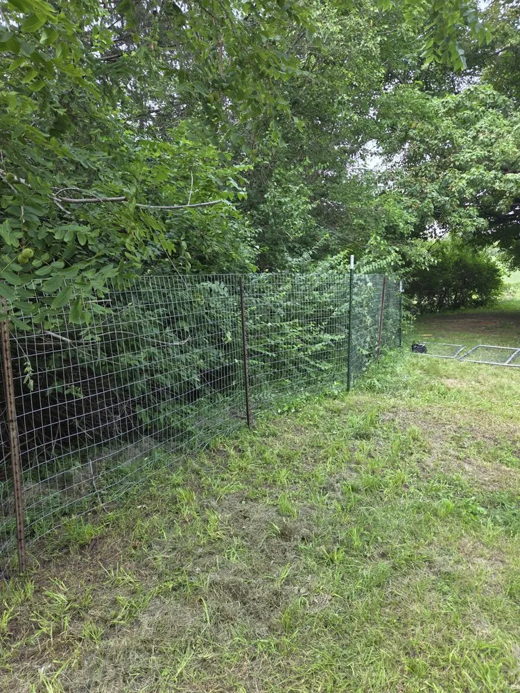 Top-rated yard cleanup service experts serving Vinton, IA - Smart Do-it-All