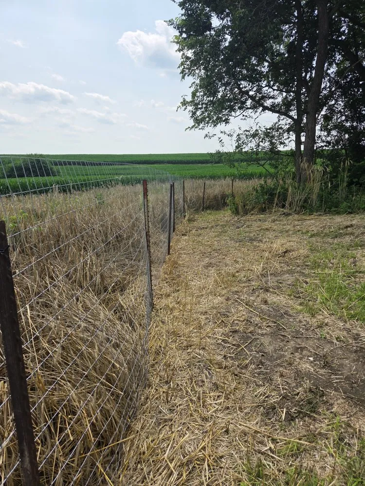 Top-rated residential landscaping for outdoor upgrades across Vinton, IA - Smart Do-it-All