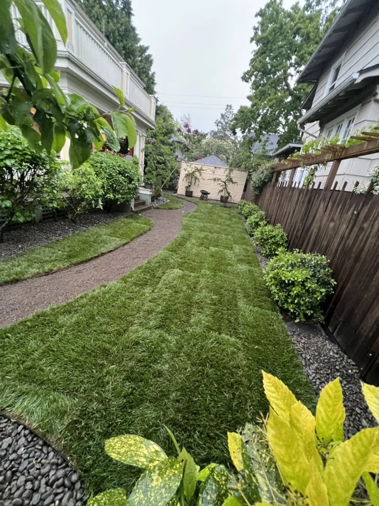 Trusted yard cleanup service experts serving Canby, OR - Smart Donkey Hardscape & Construction