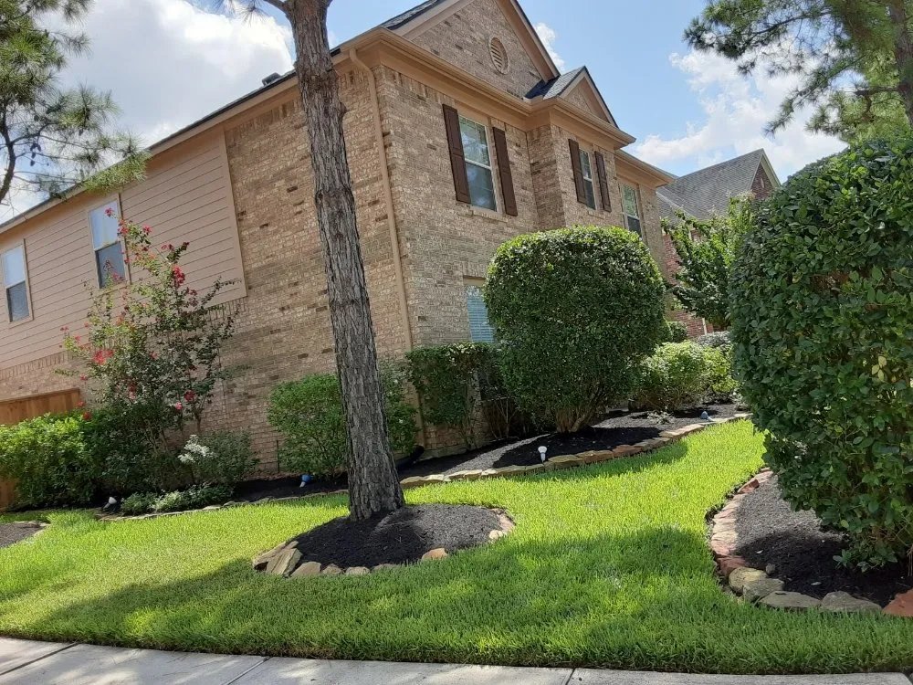 Reliable yard cleanup service experts serving Spring, TX - Smart Dumb Katz Landscaping