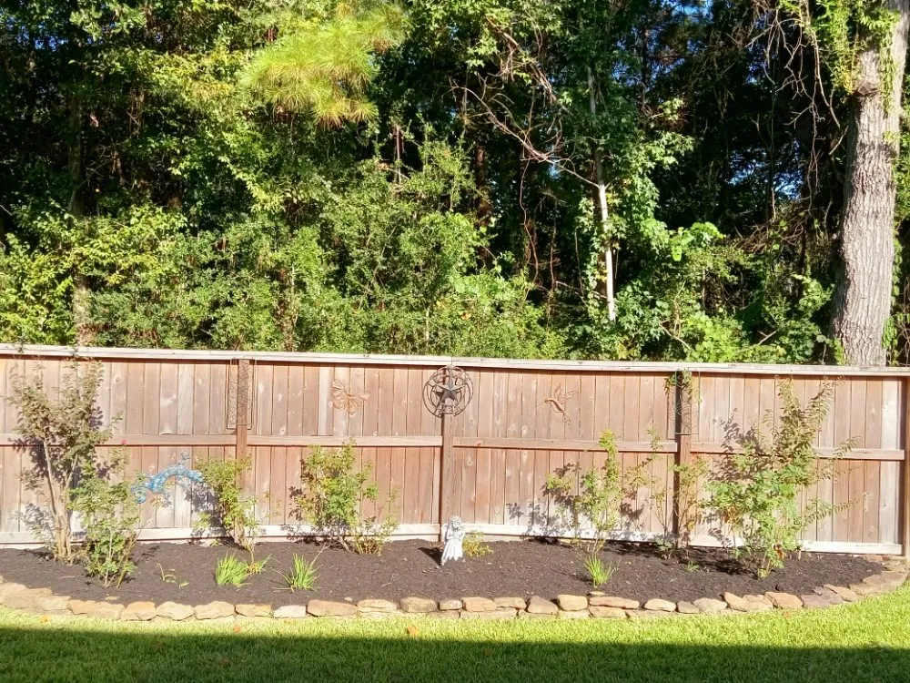 Affordable yard cleanup service near you across Spring, TX - Smart Dumb Katz Landscaping