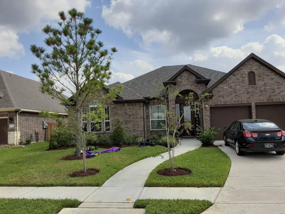 Top-rated lawn care service experts serving Spring, TX - Smart Dumb Katz Landscaping