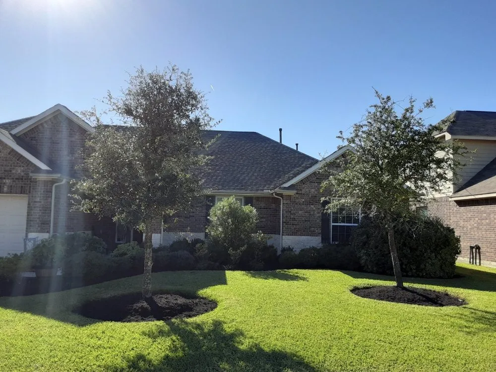 Professional yard cleanup service for residential properties across Spring, TX - Smart Dumb Katz Landscaping