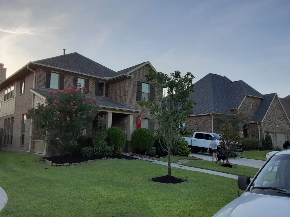 Professional landscape design for outdoor upgrades across Spring, TX - Smart Dumb Katz Landscaping