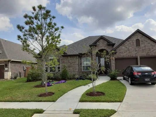 Smart Dumb Katz Landscaping Logo