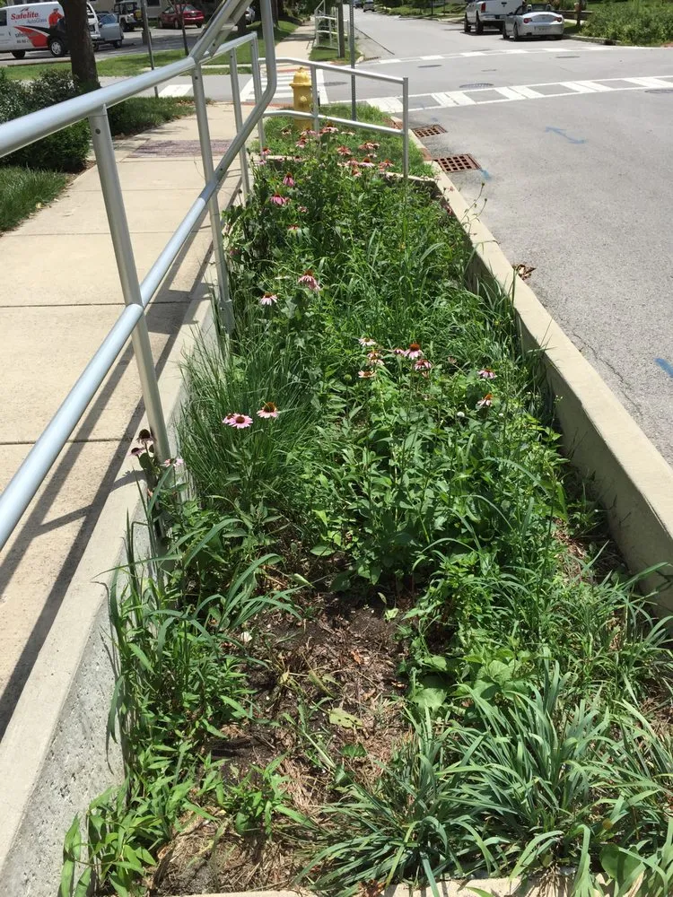 Expert landscape installation for beautiful yards across Greenfield, IN - Smart Field Services