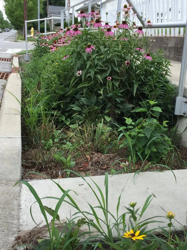 Trusted yard cleanup service for beautiful yards in Greenfield, IN by Smart Field Services