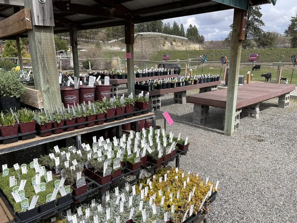 Custom outdoor landscaping in Spokane, WA by Smart Gardens