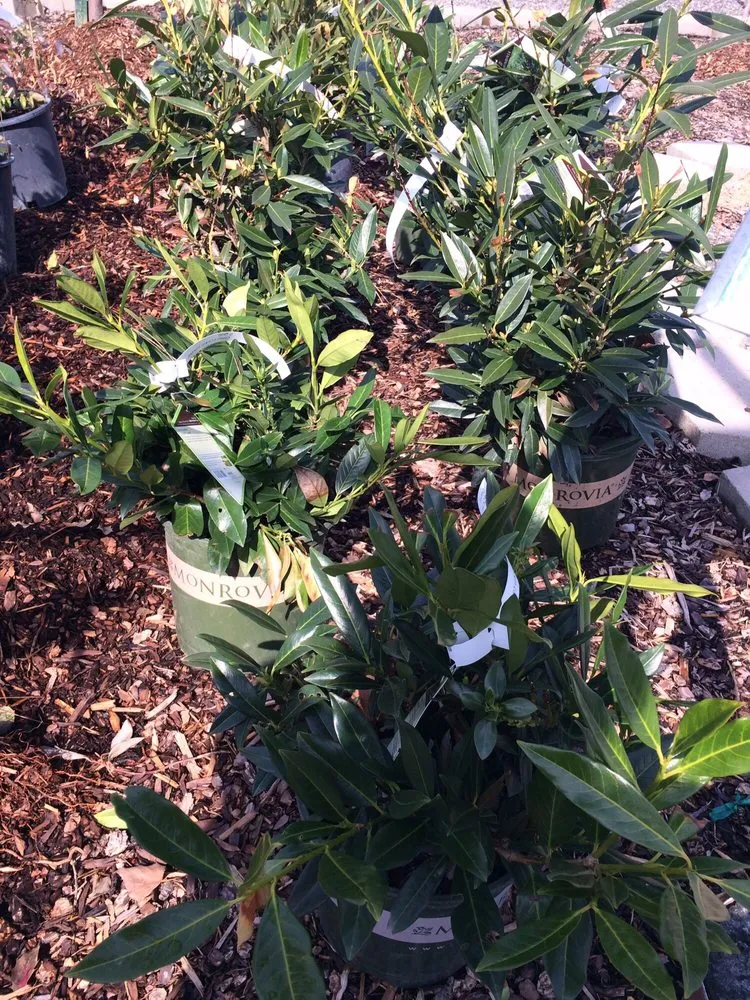 Affordable residential landscaping in Spokane, WA - Smart Gardens