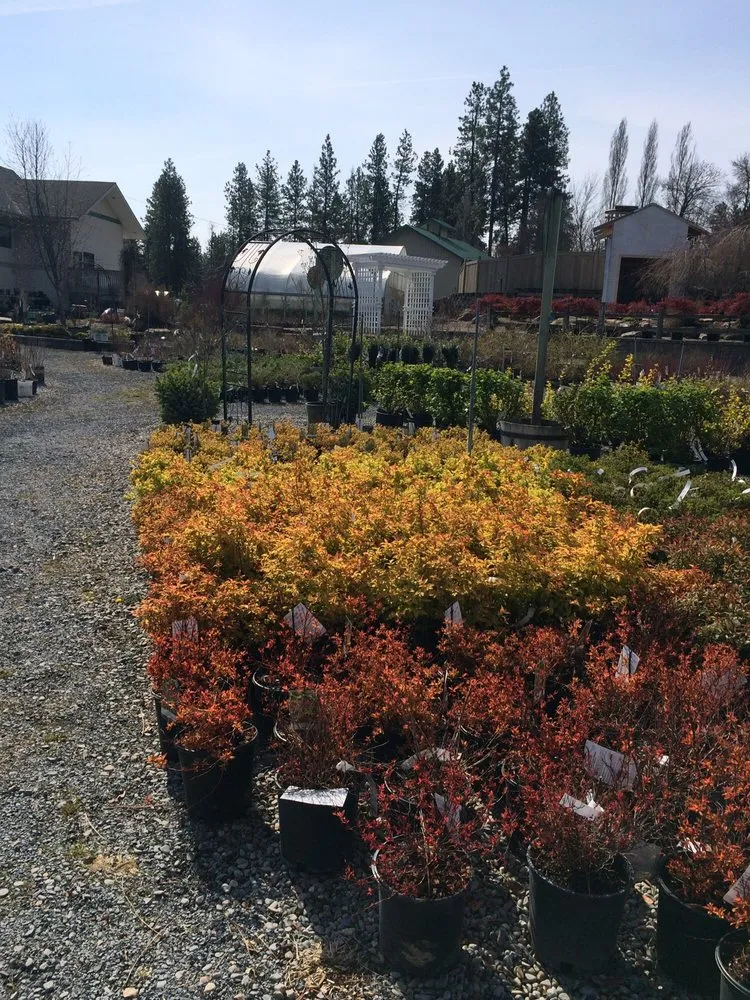 Professional landscape design for outdoor upgrades in Spokane, WA by Smart Gardens