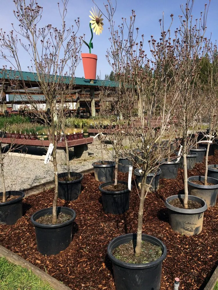 Expert yard maintenance for year-round maintenance in Spokane, WA by Smart Gardens