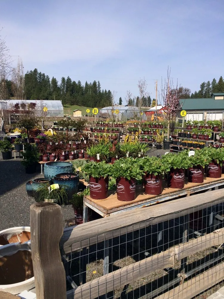 Reliable lawn care service experts serving Spokane, WA - Smart Gardens