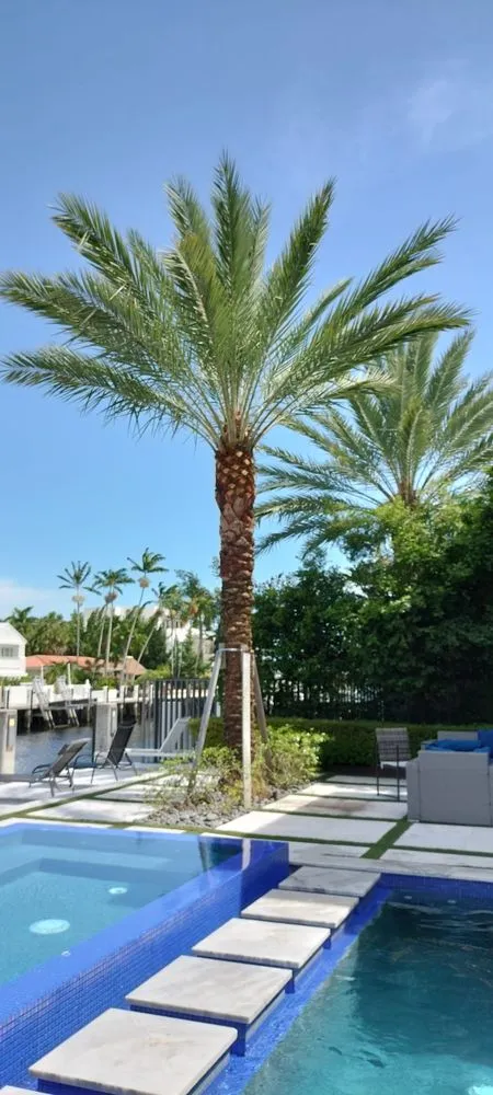 Custom garden landscaping in Hollywood, FL - Smart Green Lawn Care