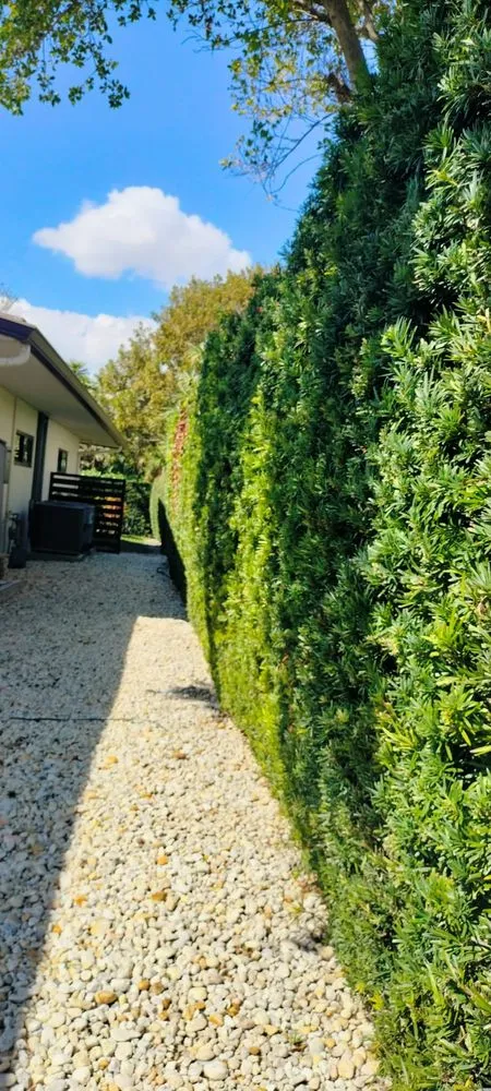 Top-rated lawn mowing service experts serving Hollywood, FL - Smart Green Lawn Care