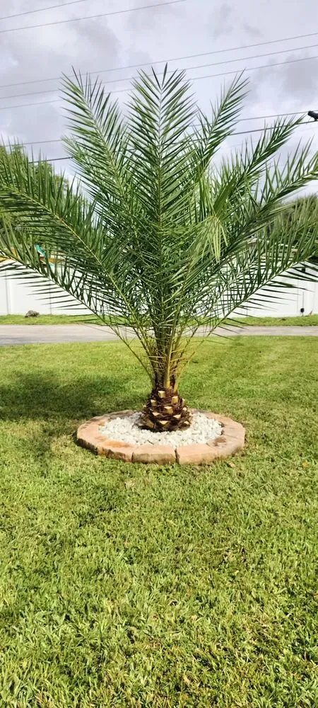 Custom landscape design in Hollywood, FL by Smart Green Lawn Care