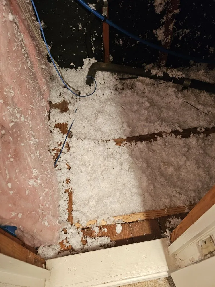 Local yard maintenance in Houston, TX - Smart Homes Remodeling