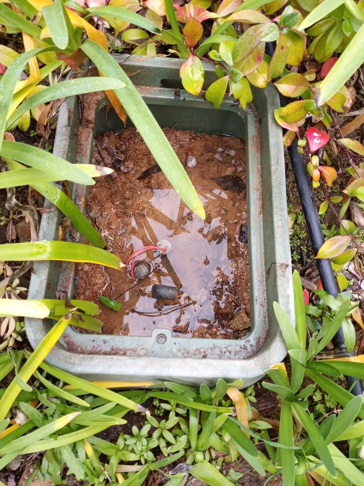 Reliable outdoor landscaping with custom design across Carlsbad, CA - Smart Irrigation Tech and Landscaping