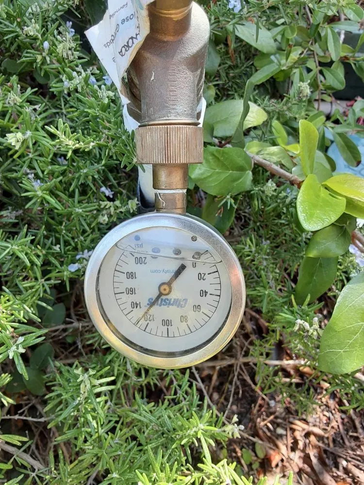 Affordable yard cleanup service in Carlsbad, CA - Smart Irrigation Tech and Landscaping