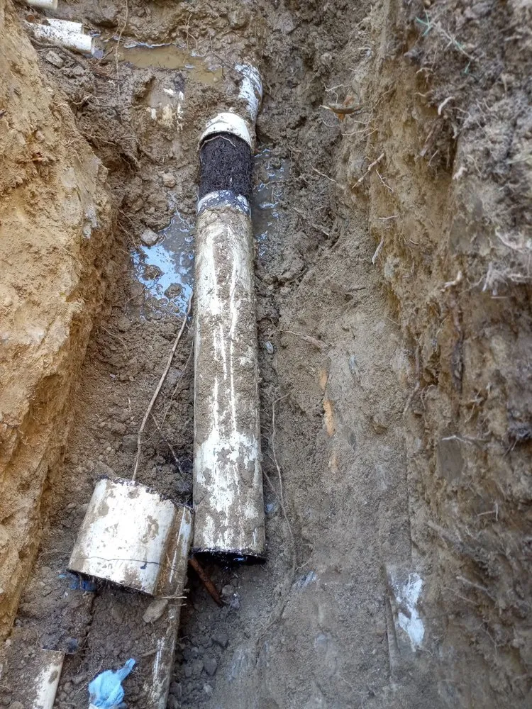 Affordable yard maintenance in Carlsbad, CA - Smart Irrigation Tech and Landscaping