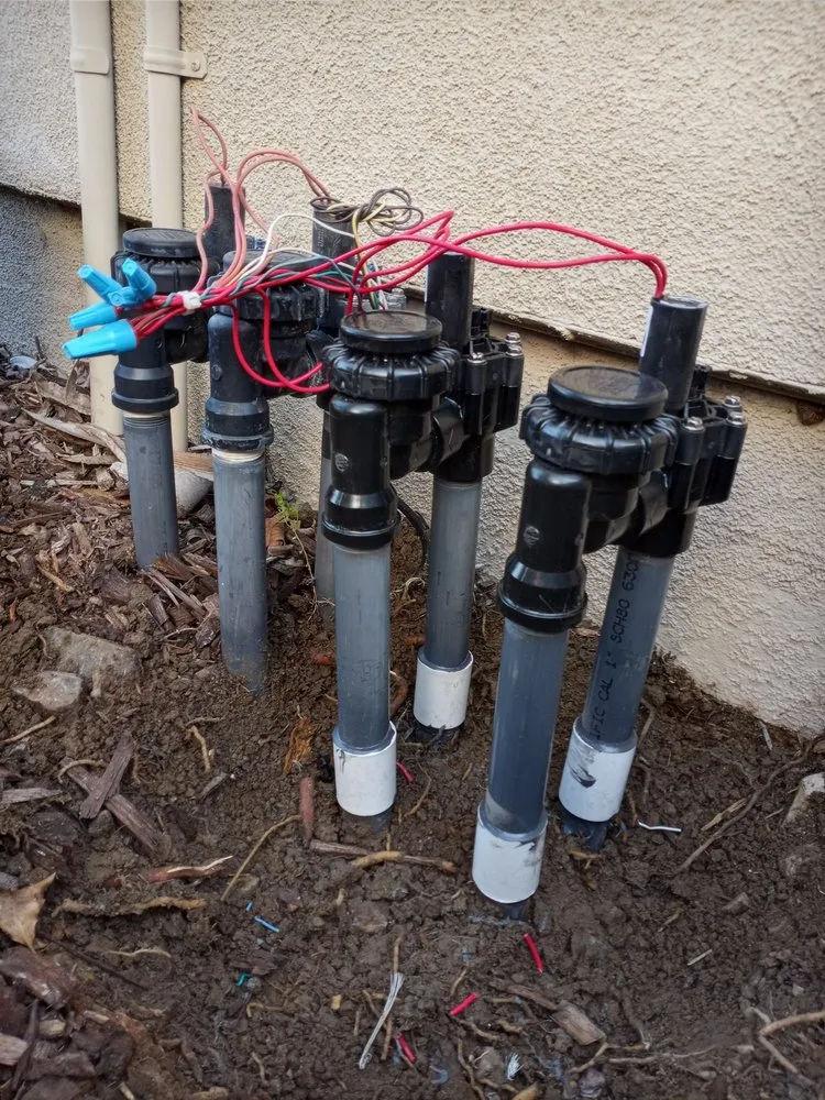 Trusted outdoor landscaping in Carlsbad, CA - Smart Irrigation Tech and Landscaping