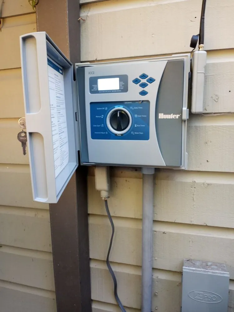 Custom yard cleanup service in Carlsbad, CA - Smart Irrigation Tech and Landscaping