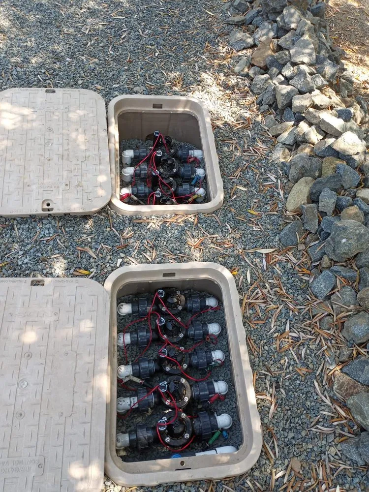 Custom yard cleanup service experts serving Carlsbad, CA - Smart Irrigation Tech and Landscaping