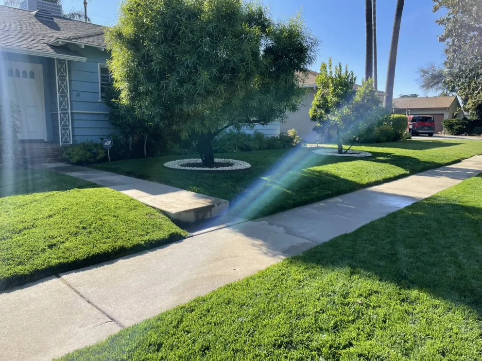 Top-rated yard cleanup service experts serving Calabasas, CA - Smart Landscaping