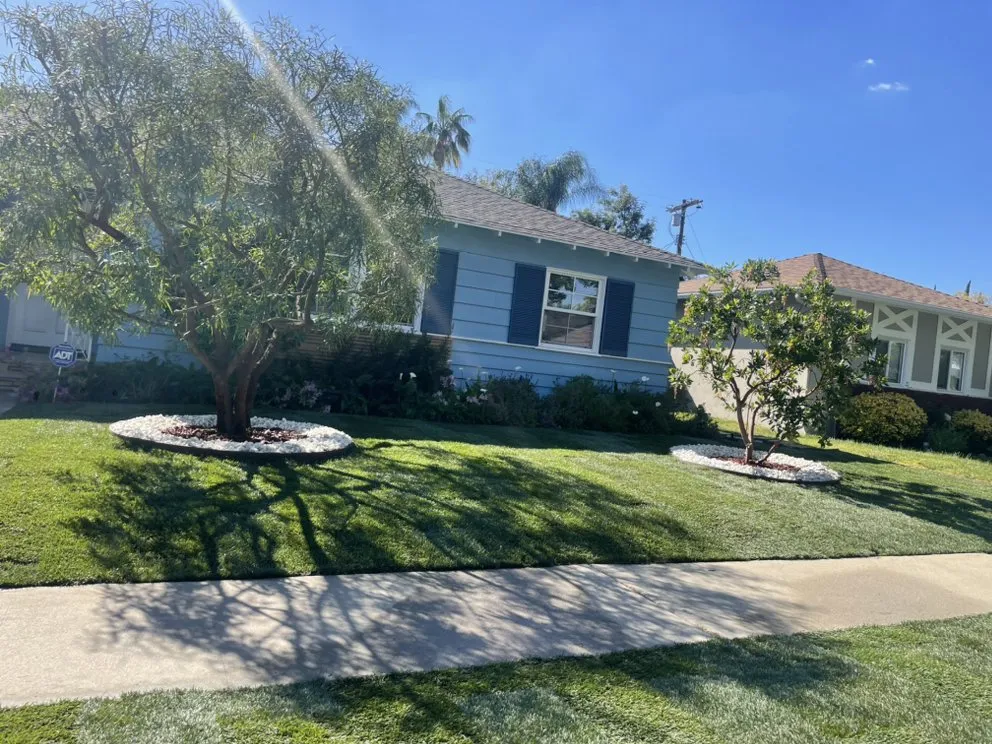 Professional yard cleanup service experts serving Calabasas, CA - Smart Landscaping