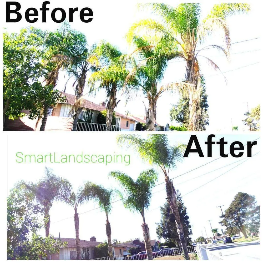 Local garden landscaping for beautiful yards across Fontana, CA - Smart Landscaping
