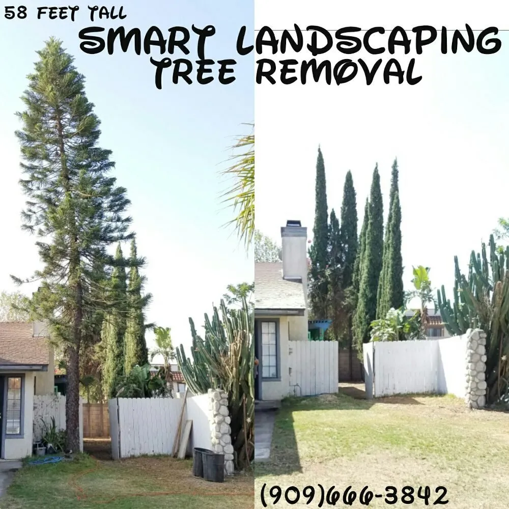 Reliable residential landscaping in Fontana, CA - Smart Landscaping
