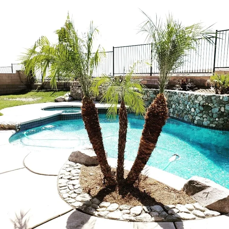 Local yard cleanup service with custom design in Fontana, CA by Smart Landscaping