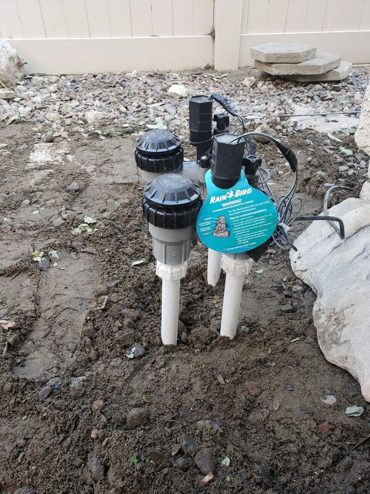 Affordable yard cleanup service in Fontana, CA - Smart Landscaping