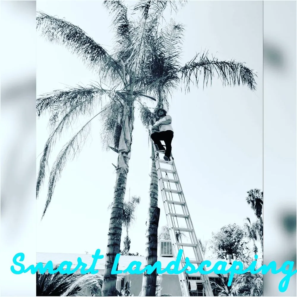 Local landscape design in Fontana, CA - Smart Landscaping