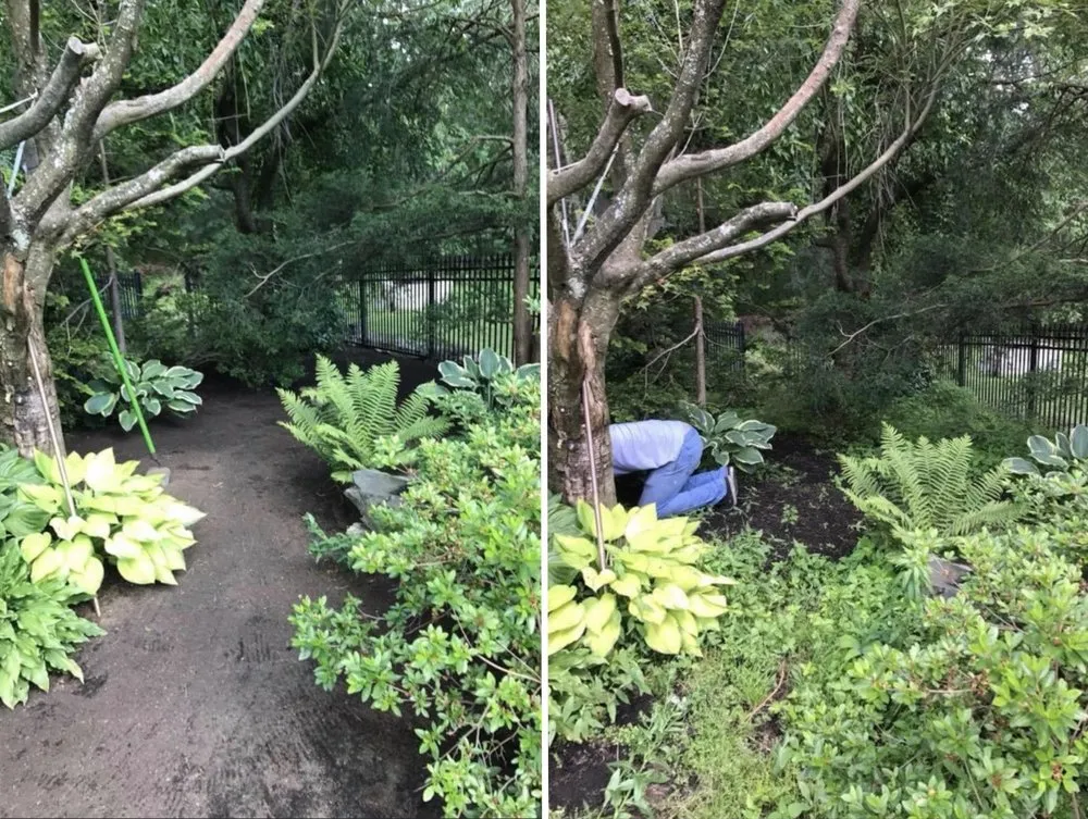 Expert yard cleanup service with custom design in Framingham, MA by Smart Landscaping