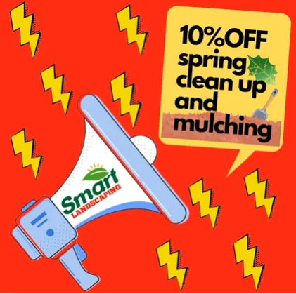 Custom yard maintenance in Framingham, MA by Smart Landscaping