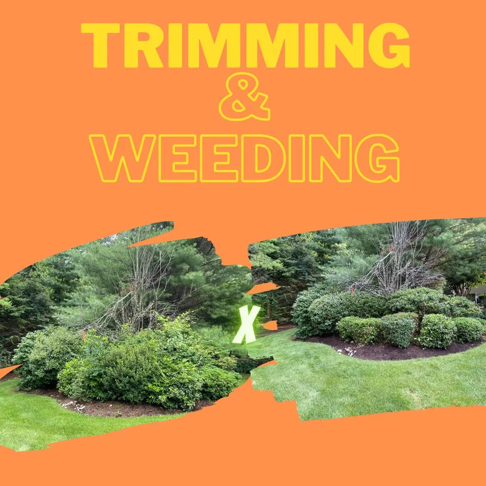 Trusted landscape installation in Framingham, MA - Smart Landscaping